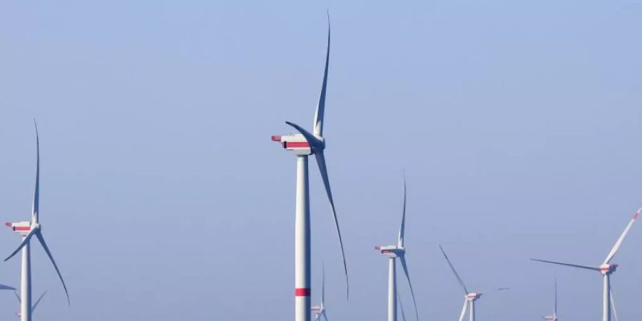 Windräder des Windparks Iberdrola «Wikinger» in der Ostsee vor Rügen. Foto: Bernd Wüstneck/dpa-Zentralbild/dpa