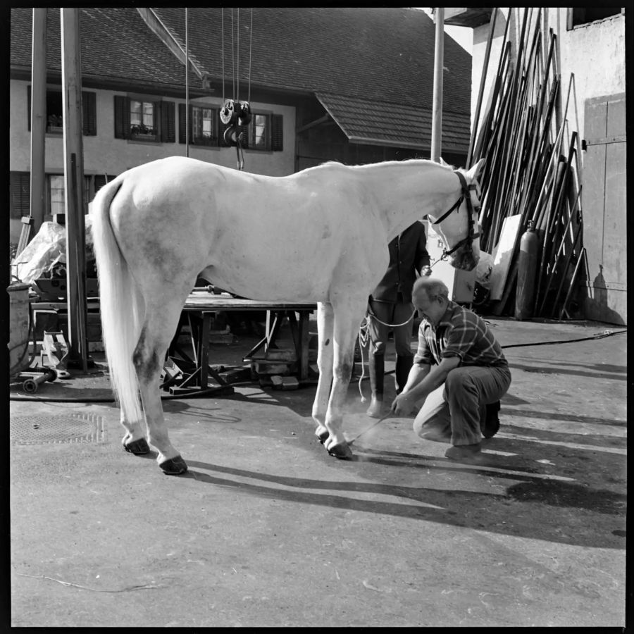 Fotografie von Roger Kaysel