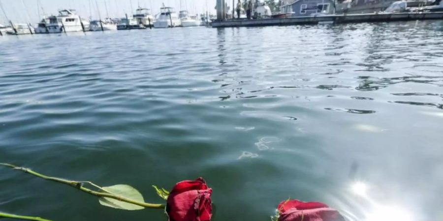 Trauer um die Toten des Bootsungücks: Zwei rote Rosen schwimmen auf dem Wasser im Hafen von Santa Barbara. Foto: Ringo H.W. Chiu/AP