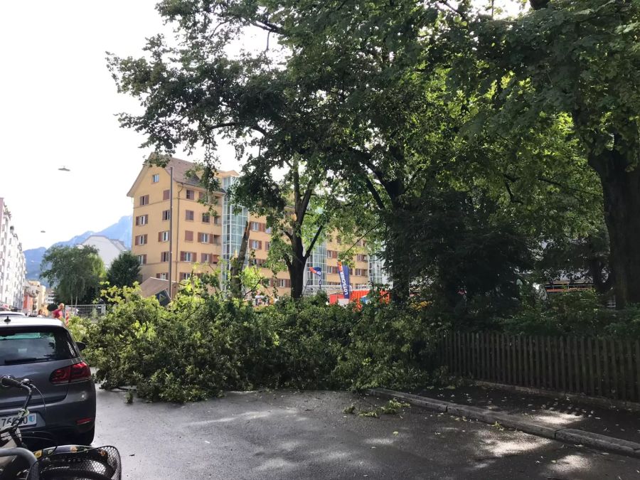 Chaos in Luzern. Nach dem Unwetter liegen Zweige und Äste auf der Strasse.