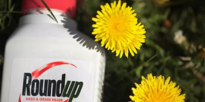 Ein US-Gericht hat Bayer zu 2,1 Milliarden Dollar Schadensersatz verurteilt. Unkrautvernichter Roundup