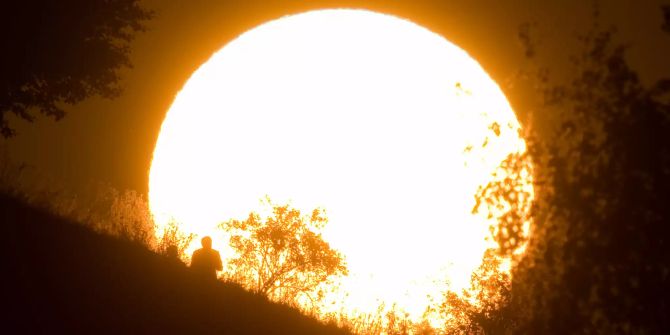 sonne sommer