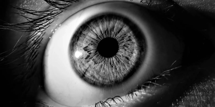 Augen Alzheimer Risiko