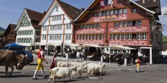 Schwende-Rüte - Winterdienst: Raupenschneefräse verbessert Wegunterhalt