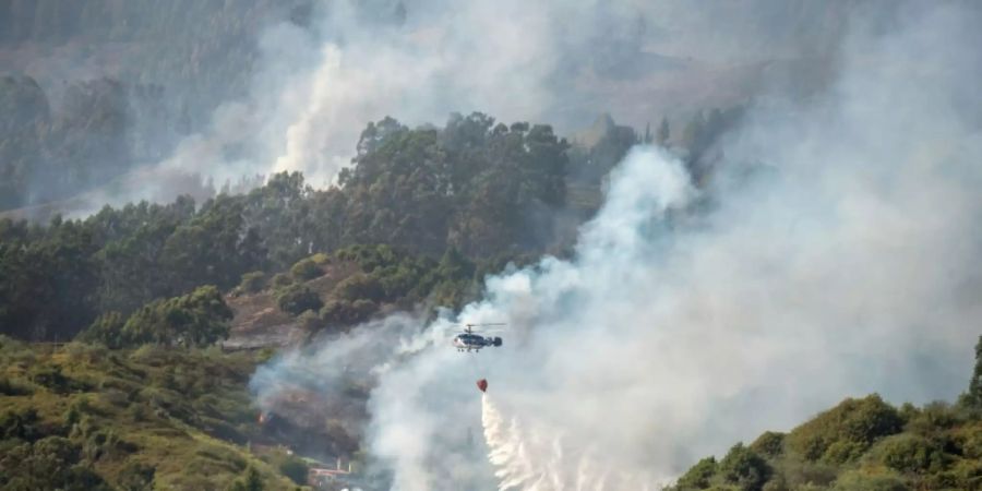 Waldbrand auf Gran Canaria