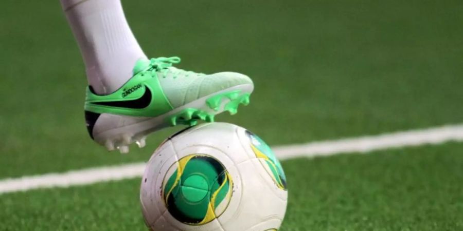 Nach Angaben der UEFA gibt es 25.250 Kunstrasenplätze in 20 der 28 Staaten der Europäischen Union. Foto: Fredrik von Erichsen