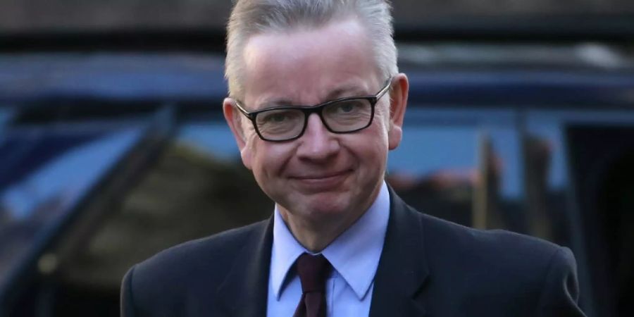 Umweltminister Gove kandidiert für den Tory-Vorsitz