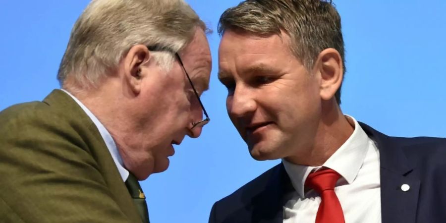 Björn Höcke (r.) und Parteichef Alexander Gauland