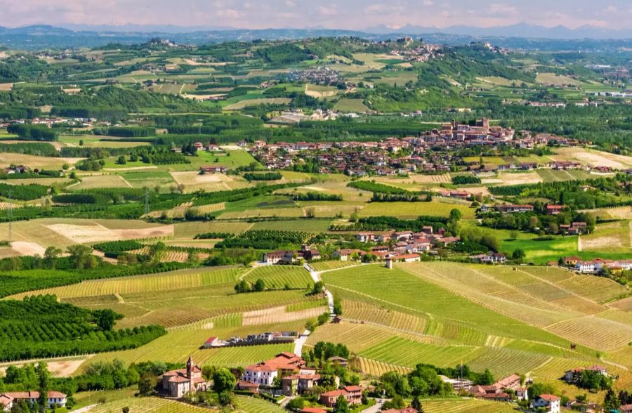 Die Region ist vor allem für seinen Weinanbau berühmt.