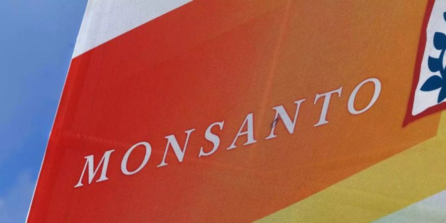 Monsanto muss sich in den USA wegen angeblicher Krebsrisiken des Unkrautvernichters Roundup mit dem Wirkstoff Glyphosat verantworten. Foto: Seth Perlman/AP