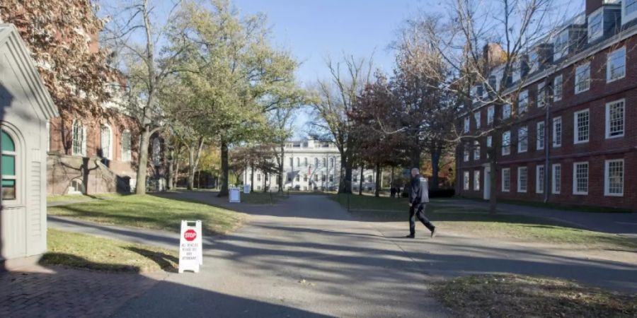 Donald Trump Harvard