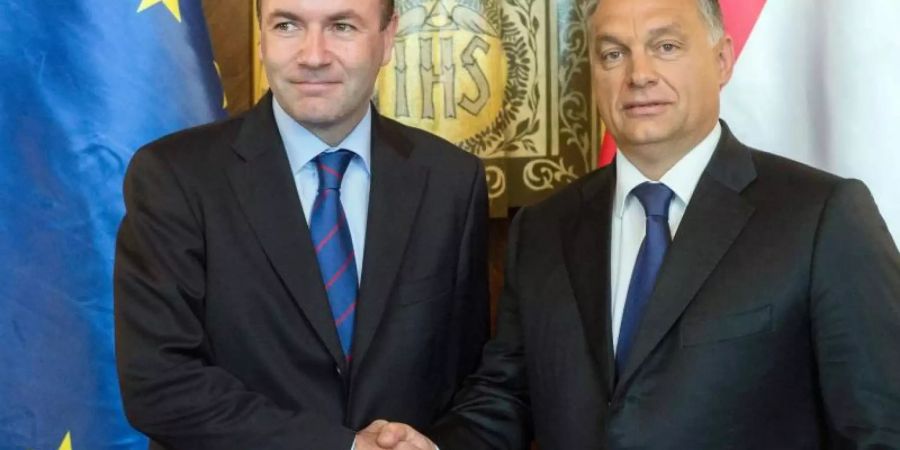 Ungarns Regierungschef Viktor Orban (R) im Herbst 2015 bei einem Treffen mit Manfred Weber. Foto: Szilard Koszticsak/MTI/dpa