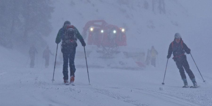 Piste