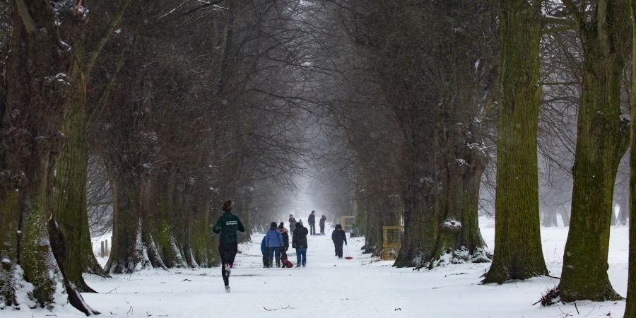 Winter Schnee Joggen Allee