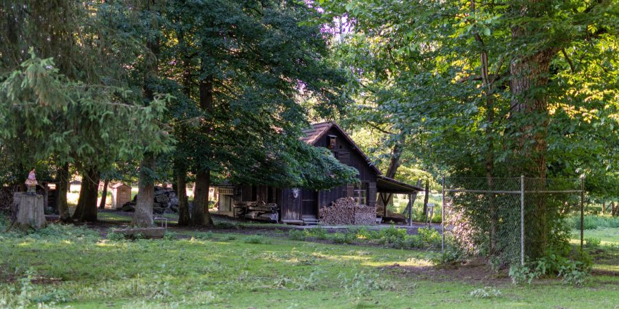 Waldgebiet im Wohler Park. - Tierpark Waltenschwil