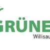 20221220_gruene_willisau1