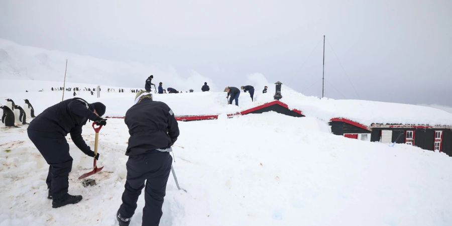 Kaum noch zu sehen, da eingeschlossen von Schnee: Mitglieder der Schiffsbesatzung der HMS Protector und des UKAHT-Teams schaufeln ein  Gebäude in Port Lockroy frei.