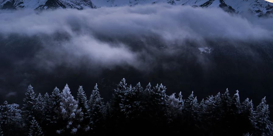 Mit gefrorenem Schnee überzogene Bäume in St. Margrethenberg SG. (Archivbild)