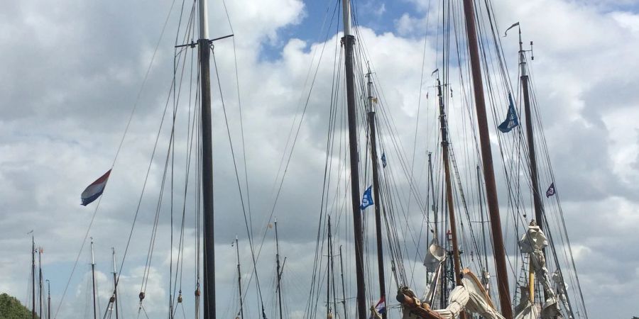 Historische Segelschiffe der sogenannten braunen Flotte der Niederlande: wie eine Kontrolle zeigte, sind viele von ihnen ohne gültige Papiere unterwegs.