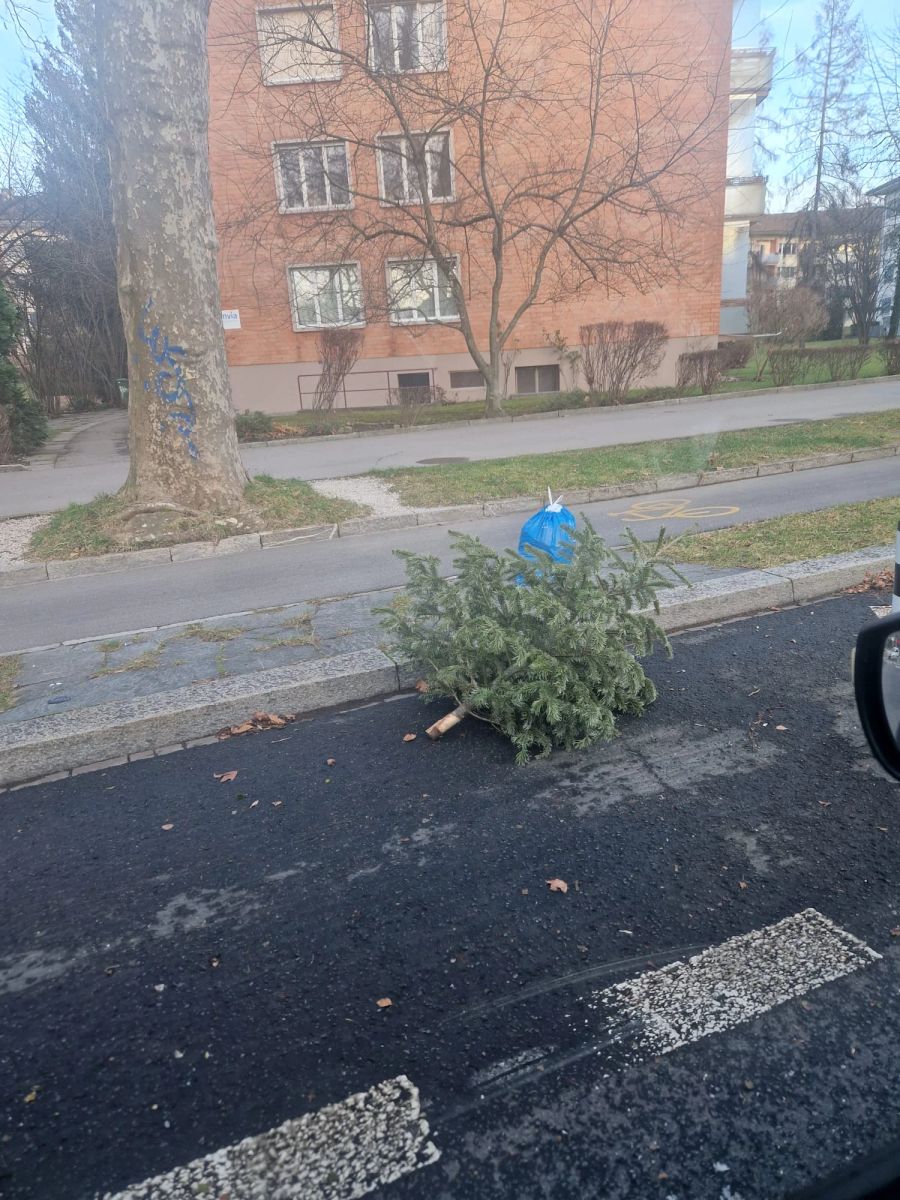 Sogar (nahezu) ganze Weihnachtsbäume liegen herum.