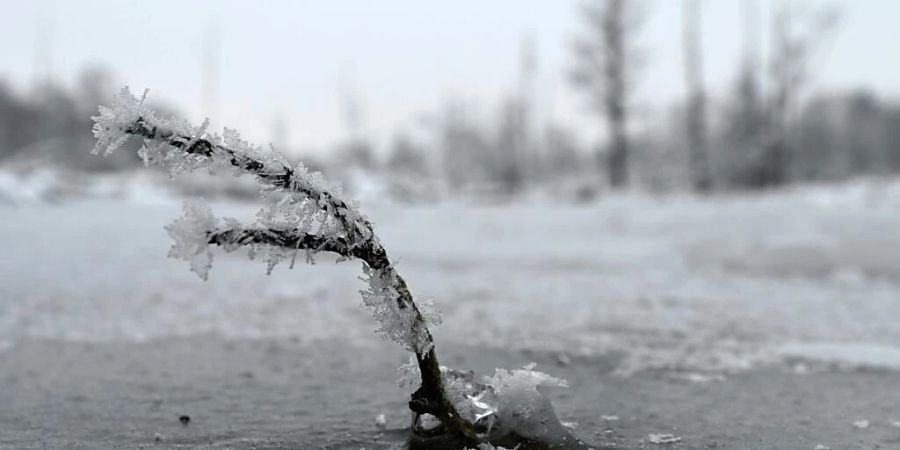 SRF Meteo hat die bisher kälteste Nacht in diesem Winter gemessen: In La Brévine NE fiel das Thermometer in der Nacht auf Samstag auf -25 Grad. (Symbolbild)