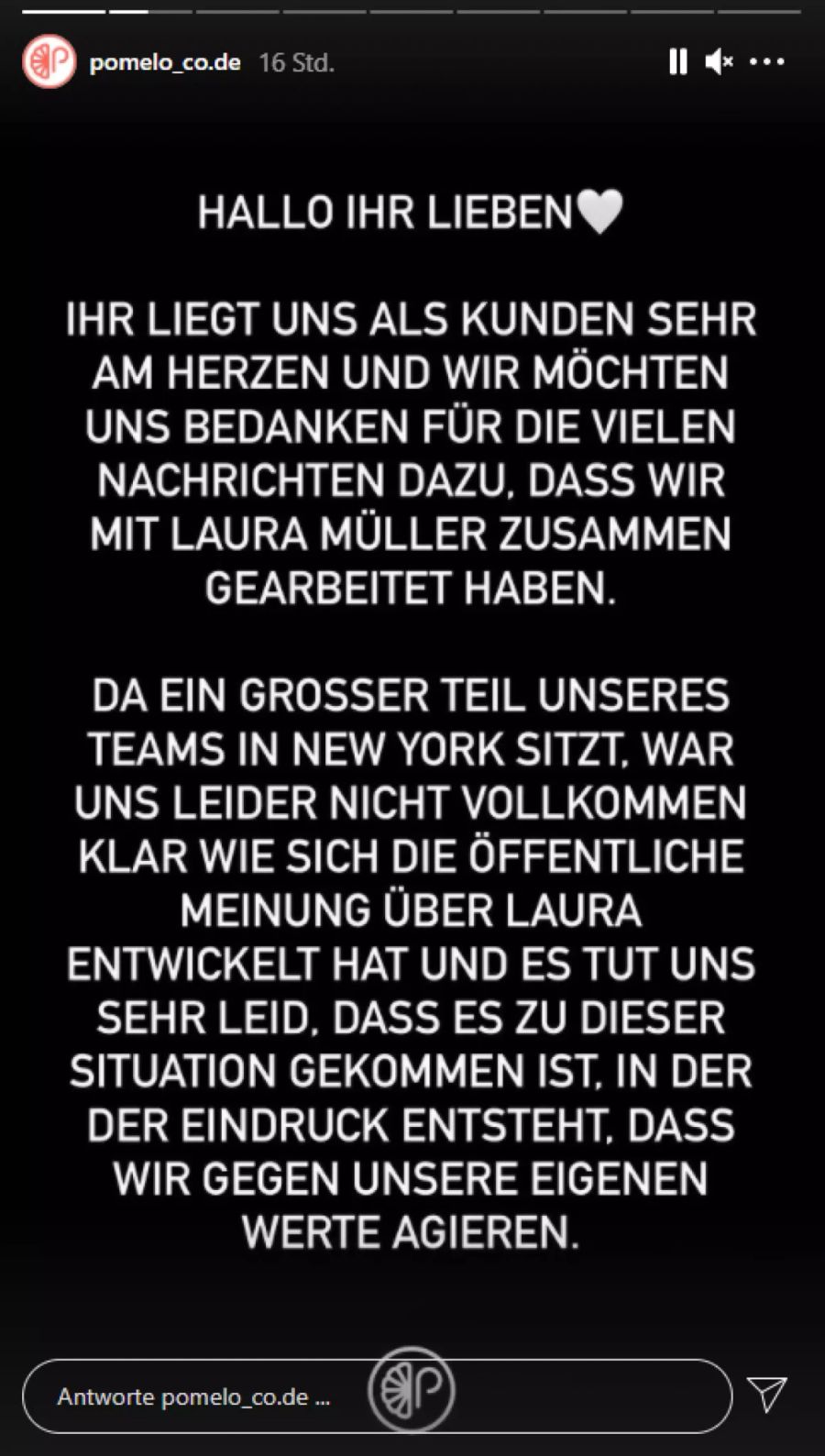 Pomélo meldet sich auf ihrer Instagram-Story zu Wort...