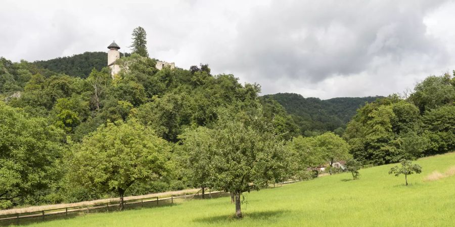 Die Burgruine Schloss Birseck ist ein markantes Wahrzeichen von Arlesheim.