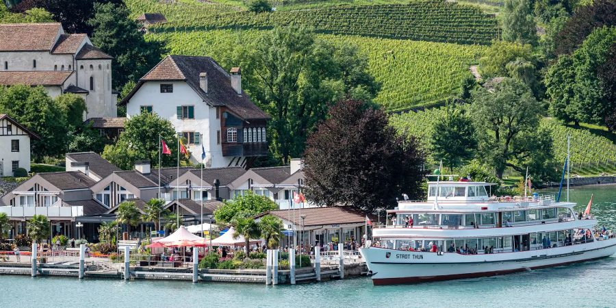 Ein Schiff der «MS Stadt Thun» an der Schiffländte von Spiez.