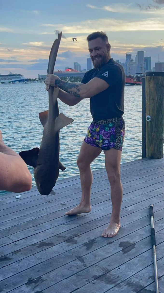 Conor McGregor fischt in Miami einen Hai. conor mcgregor