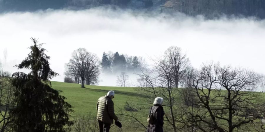 Spazieren war in den Pandemiewochen Anfang Jahr die einzige Fortbewegungsart, die vermehrt ausgeübt wurde. Ansonsten war man in der Schweiz deutlich weniger unterwegs: Im Auto gingen die zurückgelegten Distanzen um ein Viertel, im ÖV sogar um die Hälfte zurück (Archivbild).