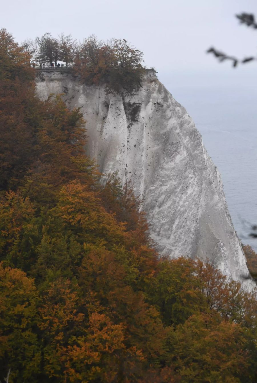 Steilküste Herbst