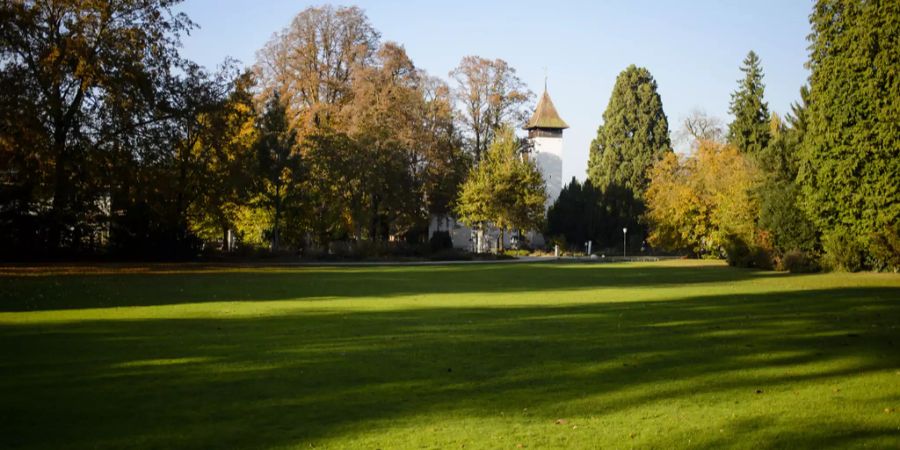 Schadaupark