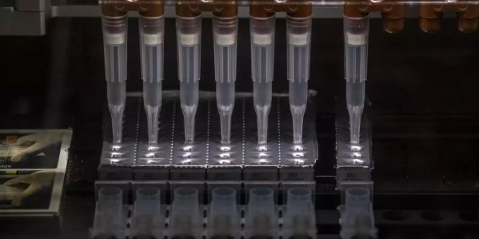 Ein Analysegerät zur Erkennung von Mutationen des Coronavirus. coronavirus