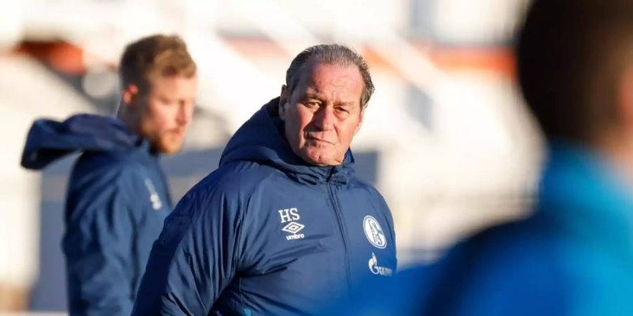 Nach der Trennung von Trainer Manuel Baum steht Huub Stevens auf Schalke im Fokus. Foto: Karsten Rabas/FC Schalke 04/dpa