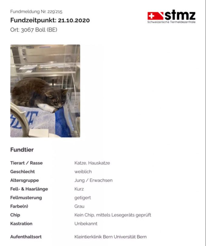 Die Fundmeldung der Schweizerischen Tiermeldezentrale. STMZ Fundmeldung