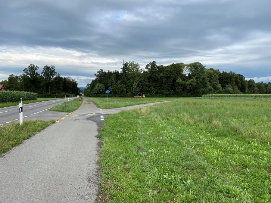 Auto überquert Wiesland