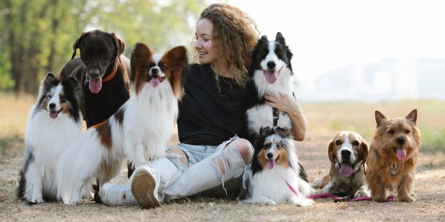 Frau mit sieben Hunden