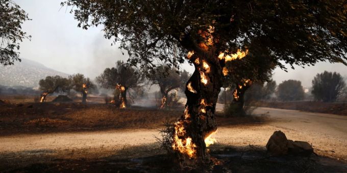 Nach Hitzewelle - Erste Waldbrände in Griechenland ausgebrochen
