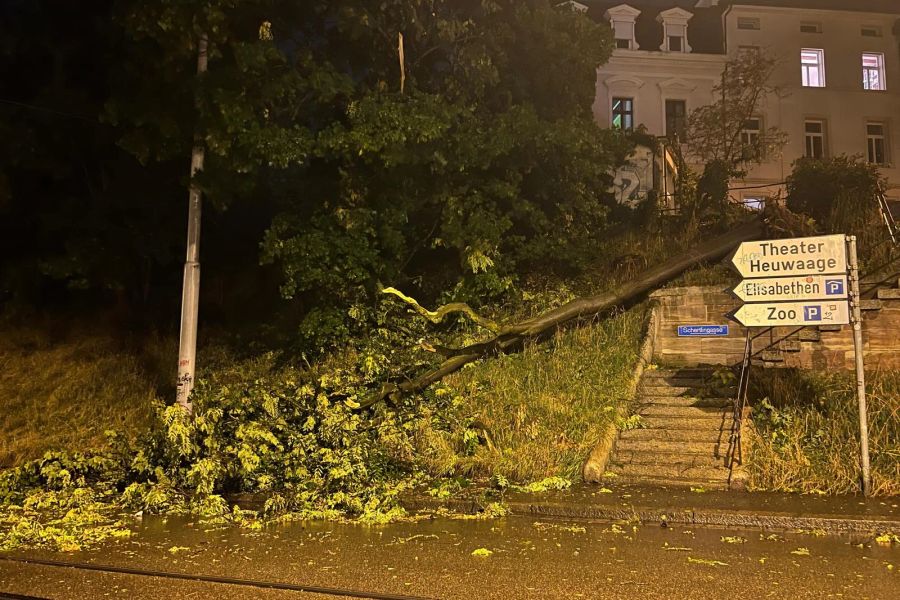 Zahlreiche Bäume wurden aus dem Boden gerissen – wie hier in Basel.