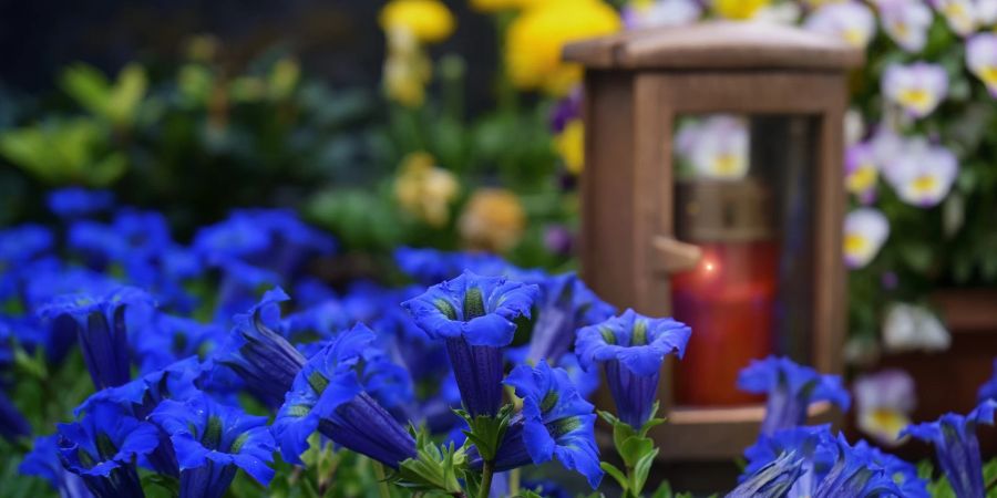 Blumen blau Grabmal