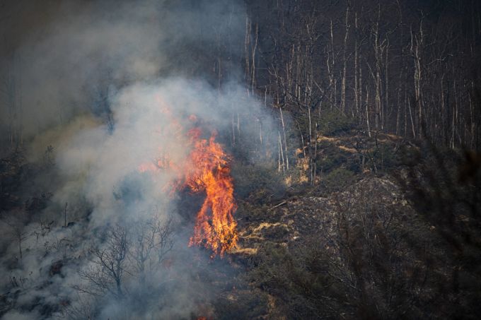 Flammen des Waldbrandes oberhalb von Verdasio im Centovalli Tal, am Freitag, 25. Maerz 2022. Brand Centovalli