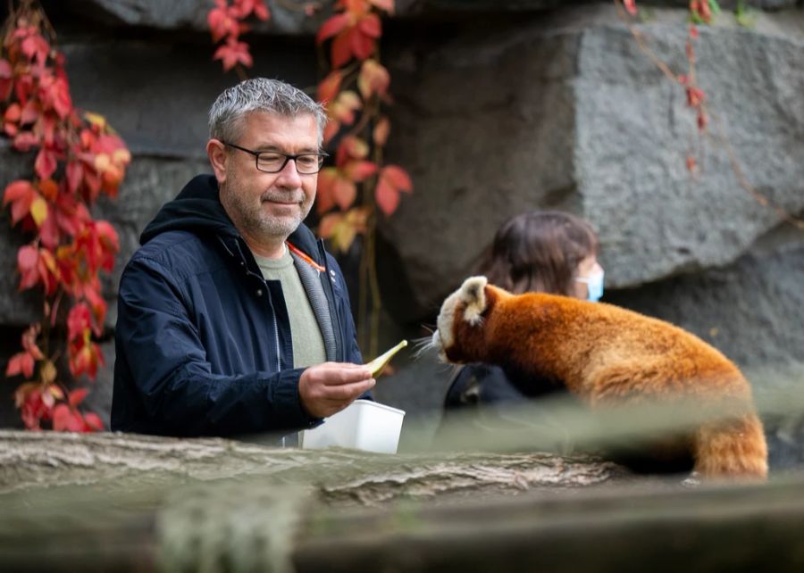 Im Berliner Zoo wurde zu Ehren Fischers ein Roter Panda auf den Namen Urs getauft.