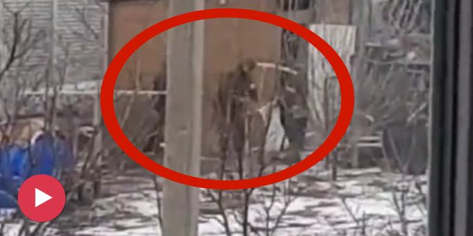 Mangel an Essen - Hungrige Russen-Soldaten klauen Hühner in Ukraine