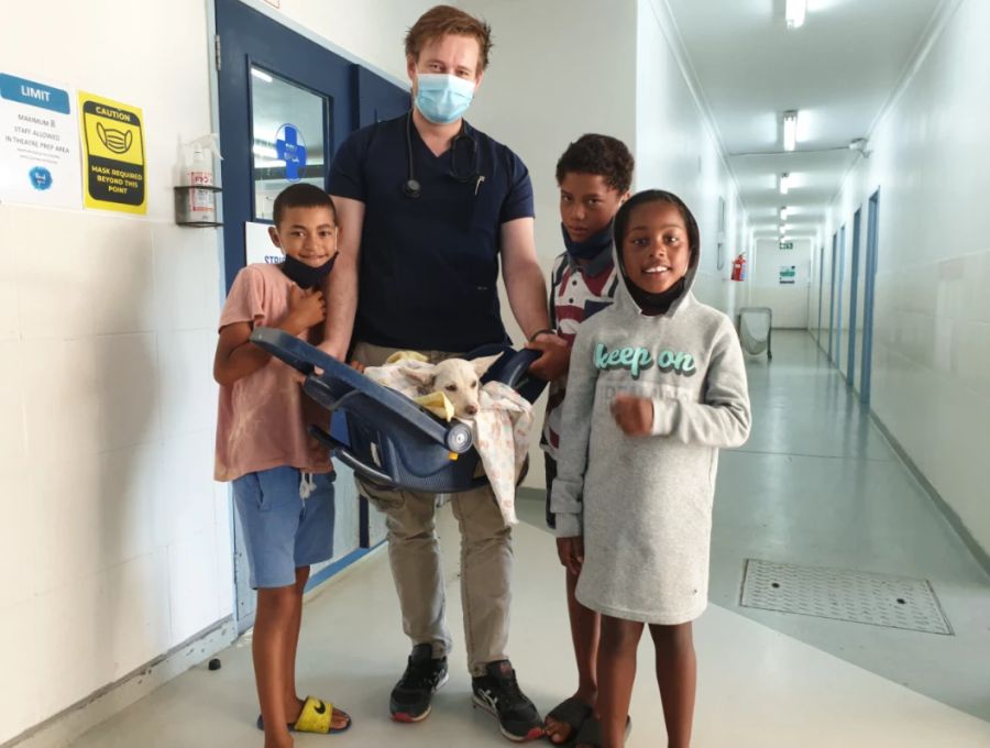 Im Tierheim kümmerten sich Pfleger sofort um Bruno.