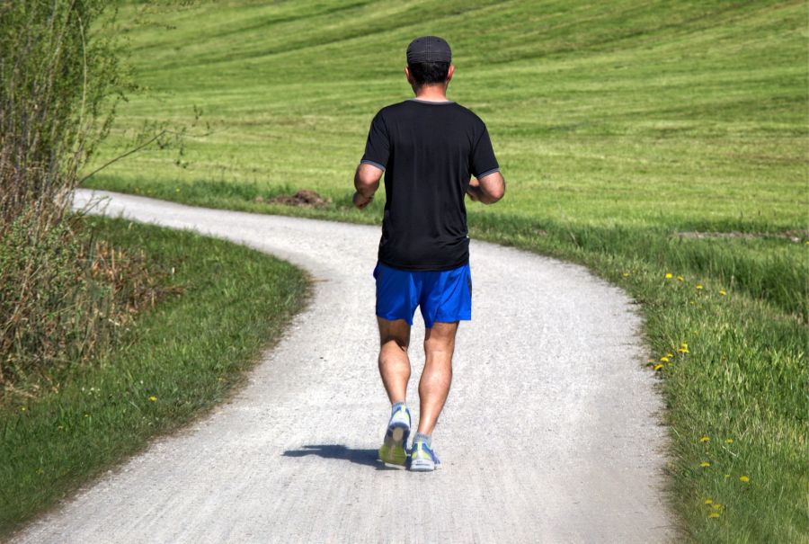 Beim Joggen wurde ein 26-Jähriger in Italien von einem Bären getötet.