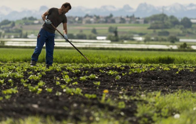 Wetter Landwirtschaft