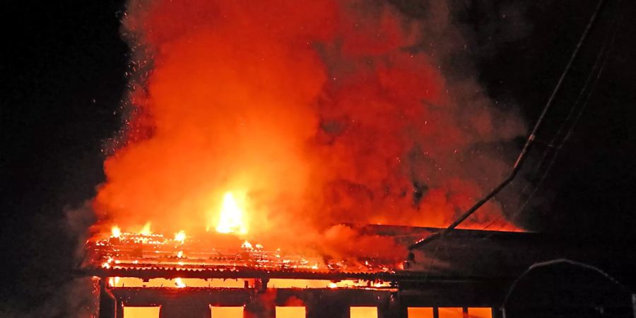 Ein aufmerksamer Autofahrer hatte den Brand in Gachnang TG nachts um drei Uhr entdeckt und zuerst die Feuerwehr und den Landwirt alarmiert. Danach trieb er die Tiere aus dem Stall.