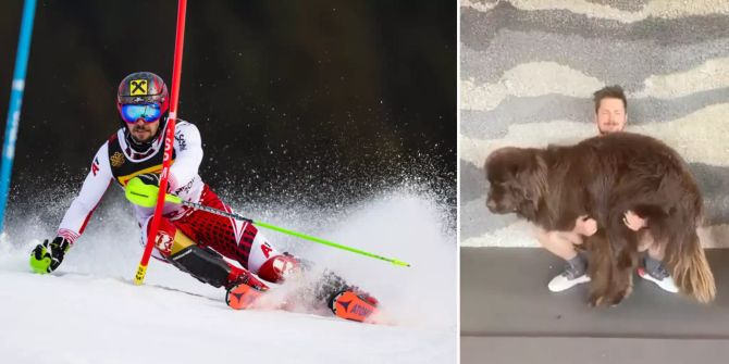 Marcel Hirscher Hund