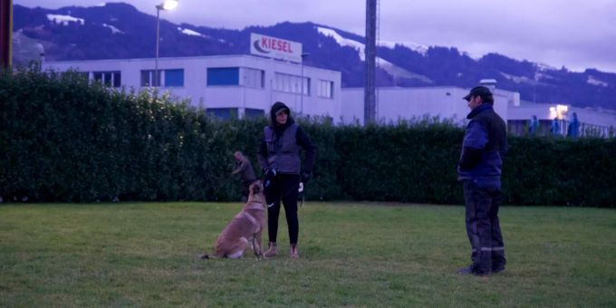 Eine Teilnehmerin absolviert mit ihrem Hund den Begleithunde-Kurs.
