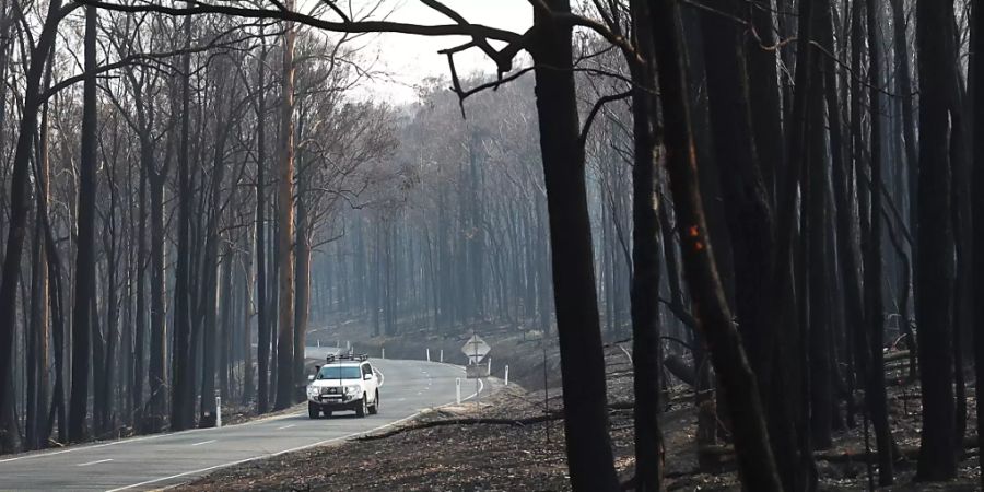 Zahlreiche Buschfeuer haben in den letzten Monaten im Südosten Australiens gewütet. Die Regierung des Bundesstaates New South Wales lässt die Brände und deren Hintergrund nun untersuchen. (Archivbild)